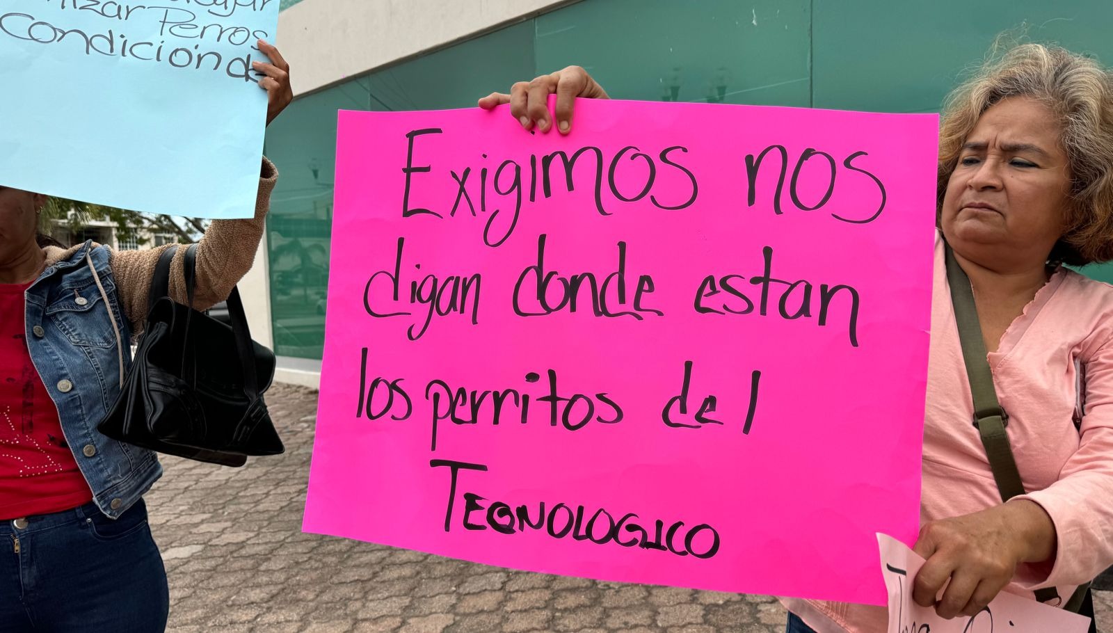 2 Animalistas