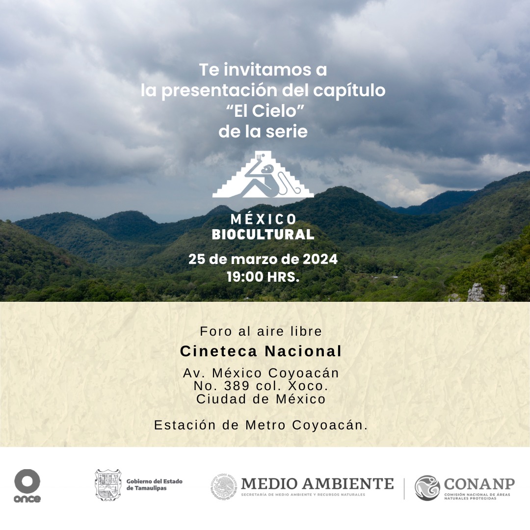 2 Documental