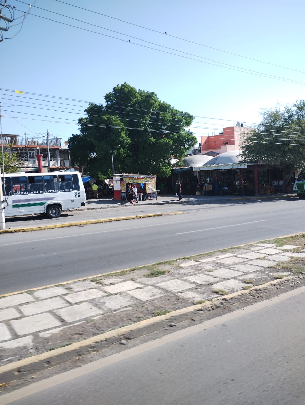 3 TRANSPORTE