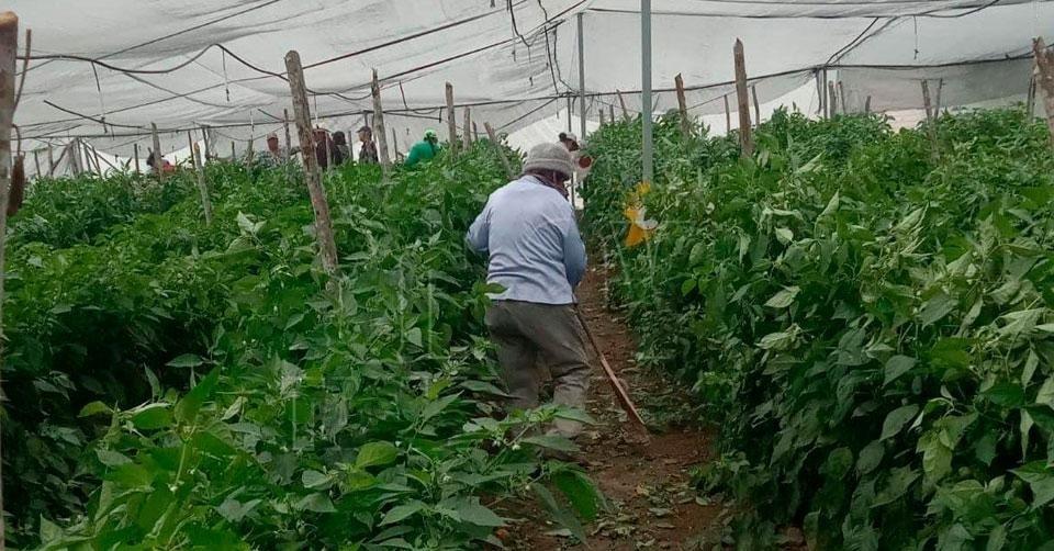 2 Denunciarán