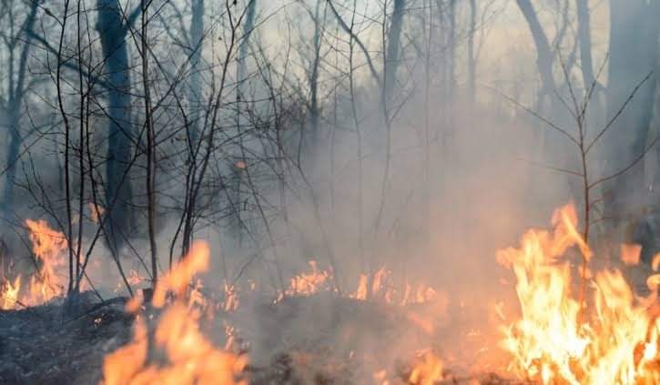 4 Incendios