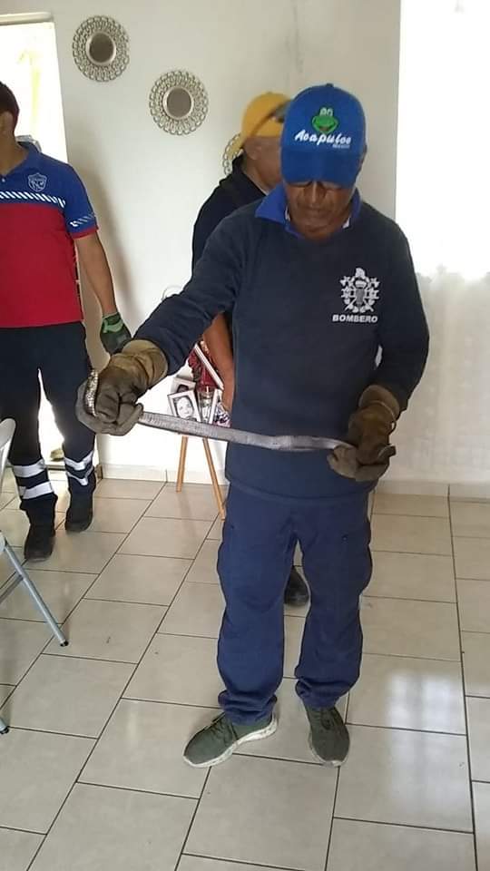 1 Alerta en Victoria