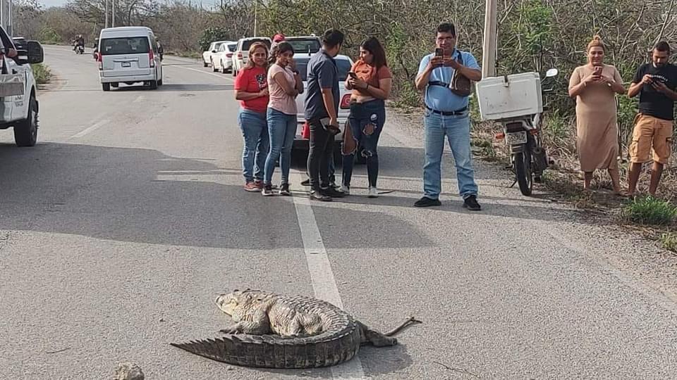 2 Falta de capacitación