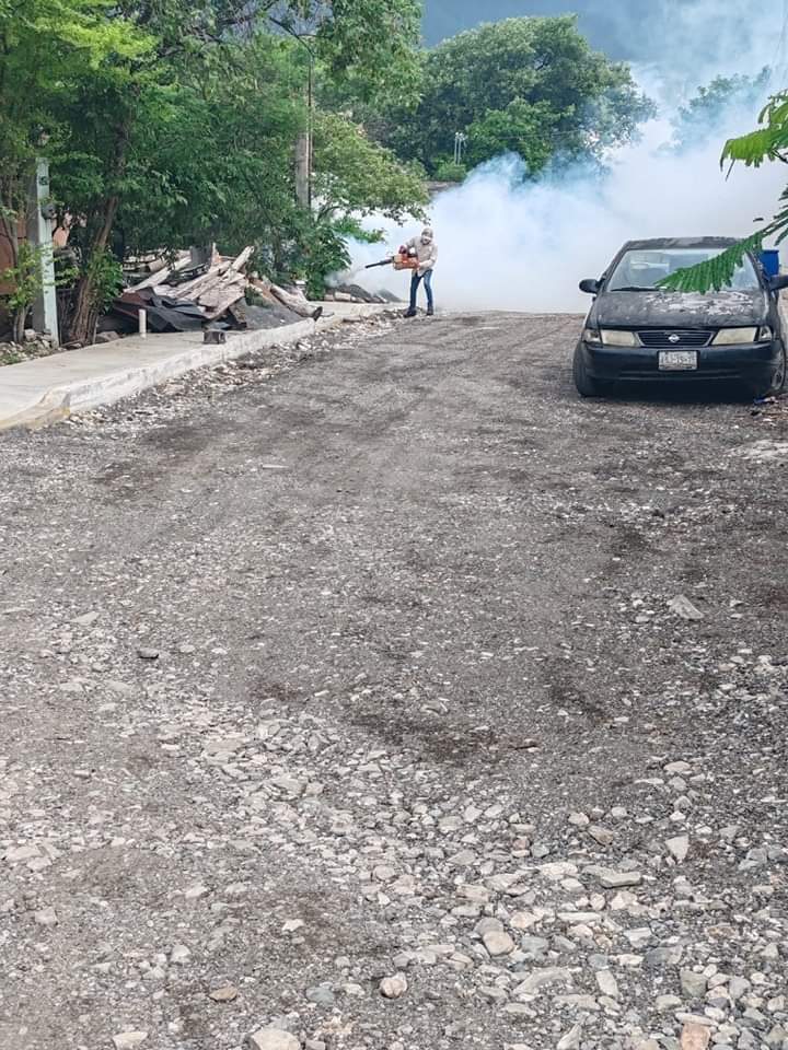 1 DENGUE