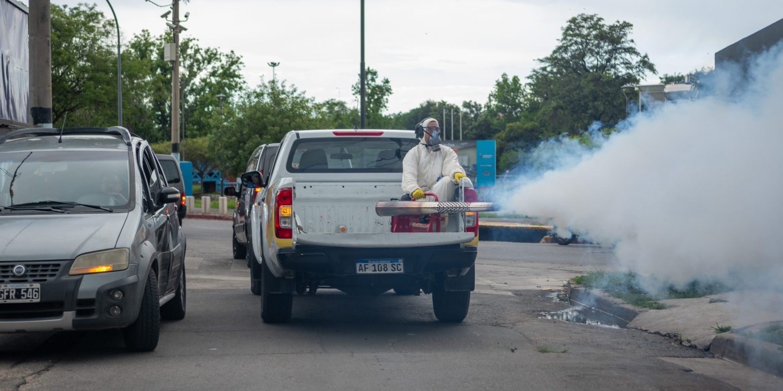 1 DENGUE