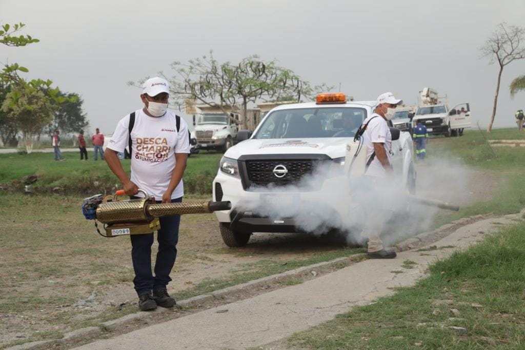 2 Dengue
