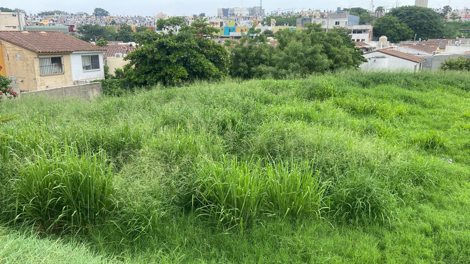 2 Más de 40 colonias