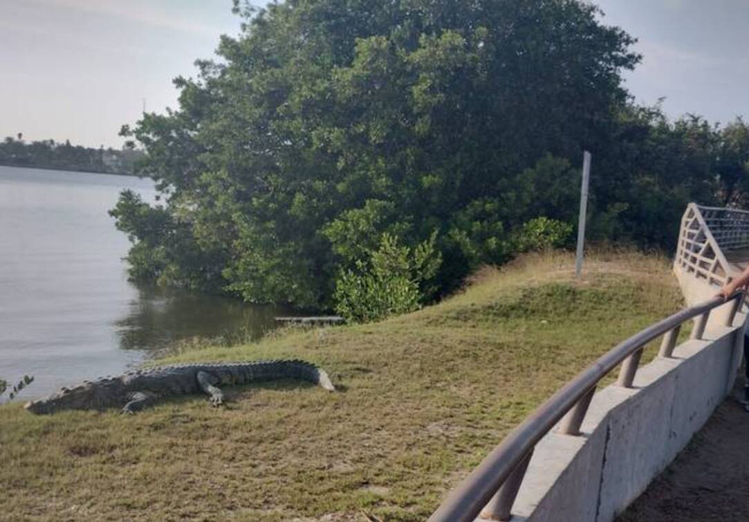 2 Personas