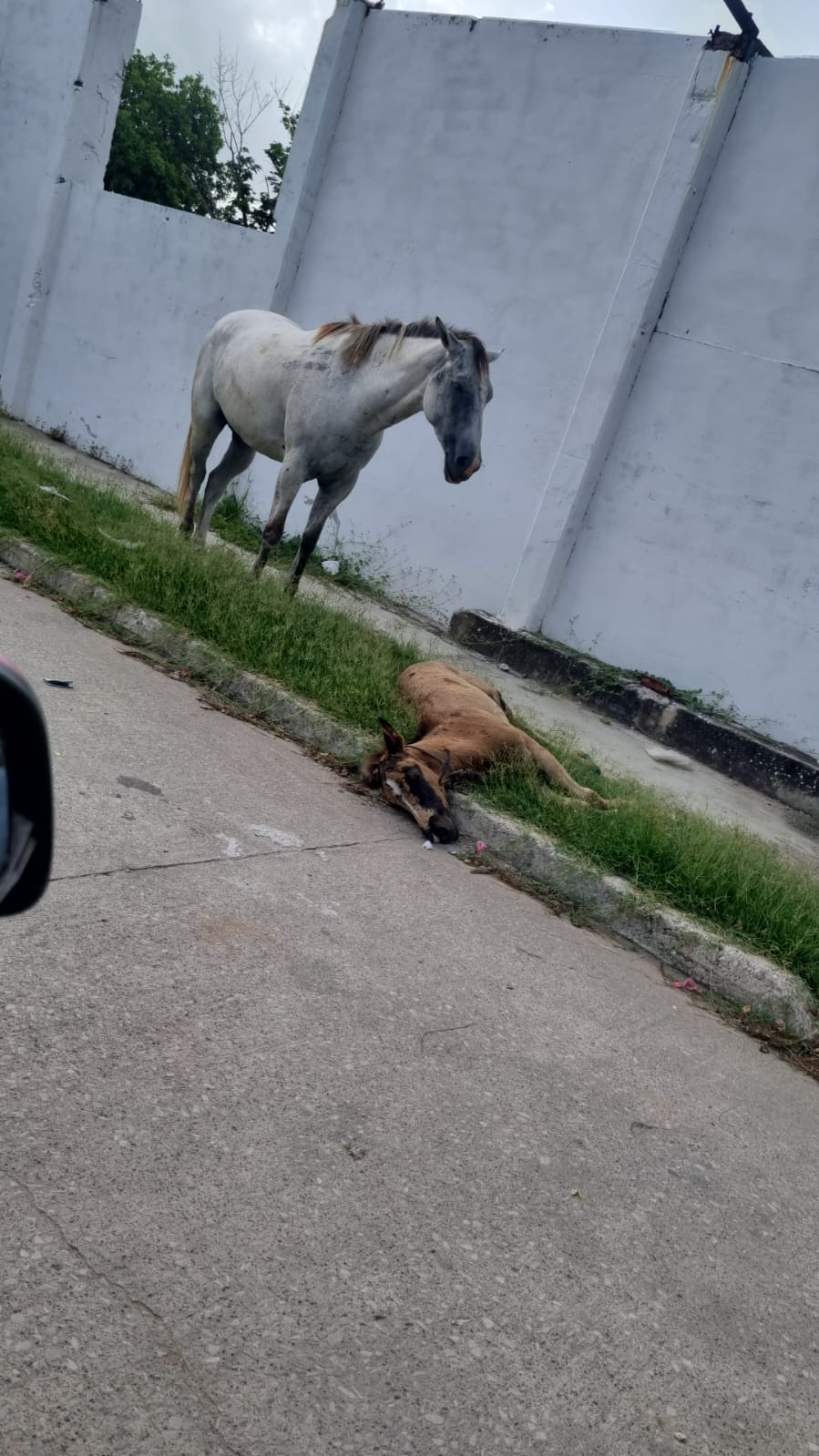 2 Protección