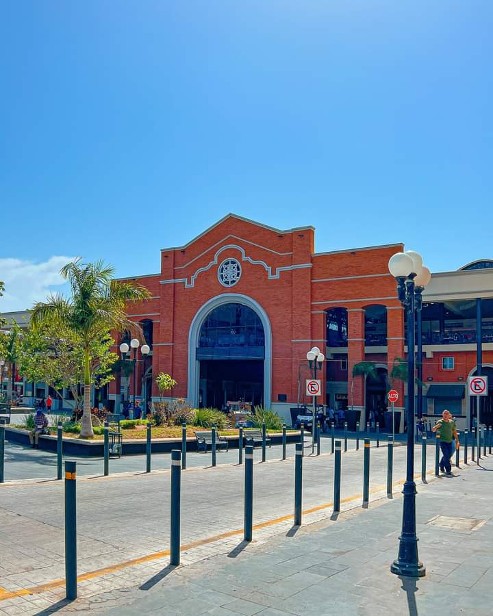 2 Celebrarán