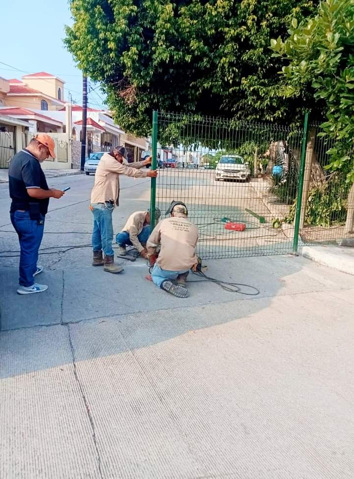 2 Genera molestia
