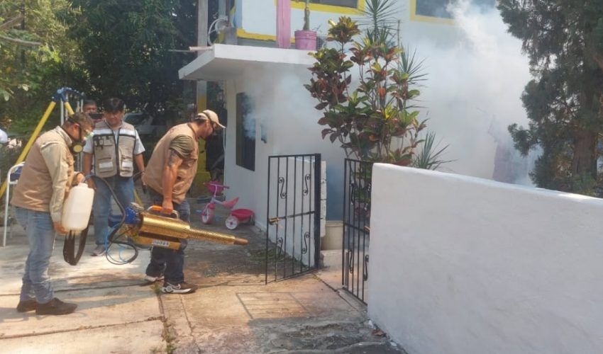 3 DENGUE