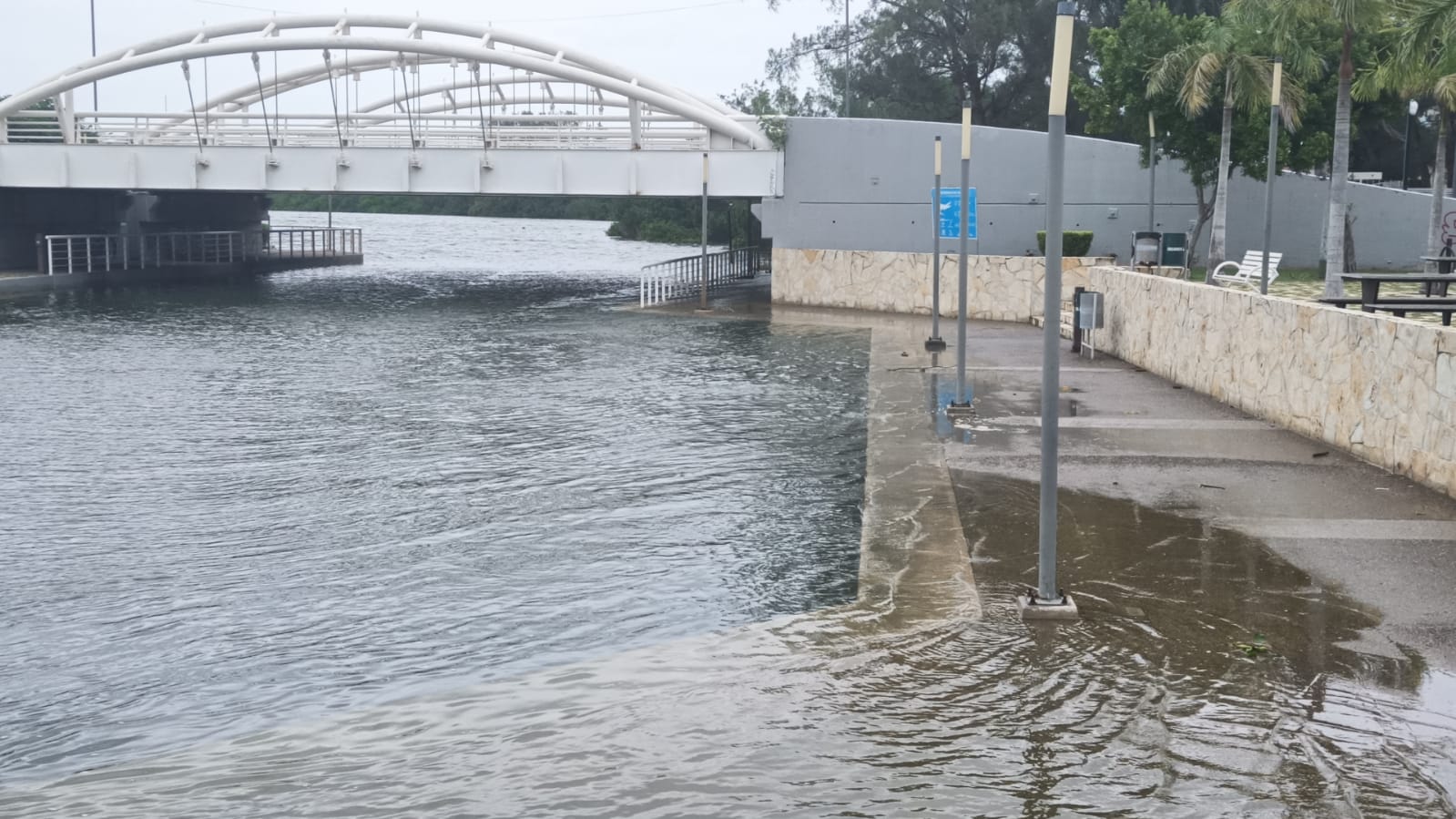 3 Mar de Tormenta