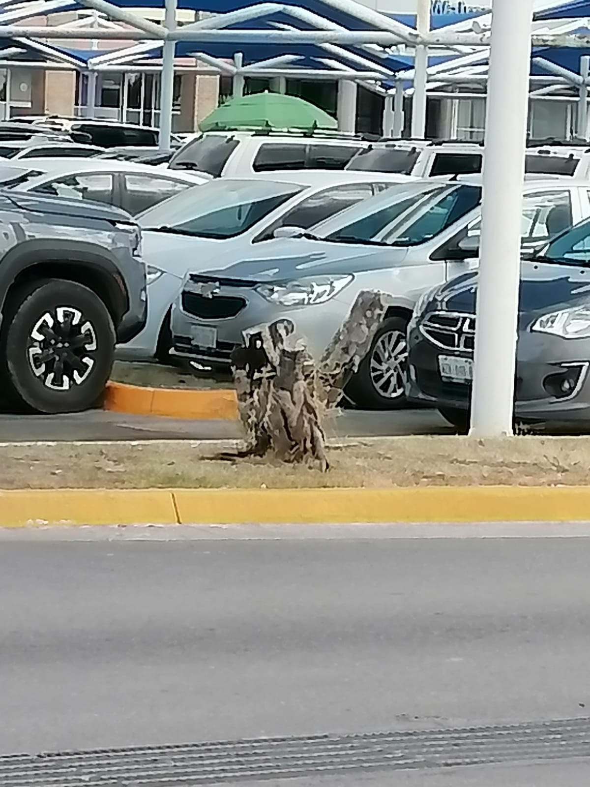 2 Centros