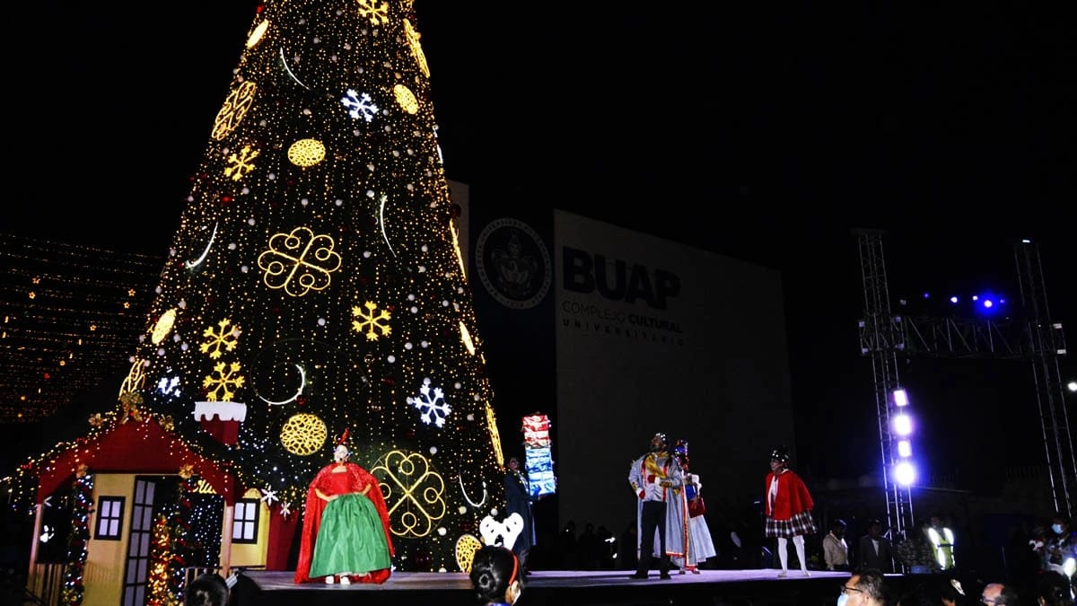 arbol