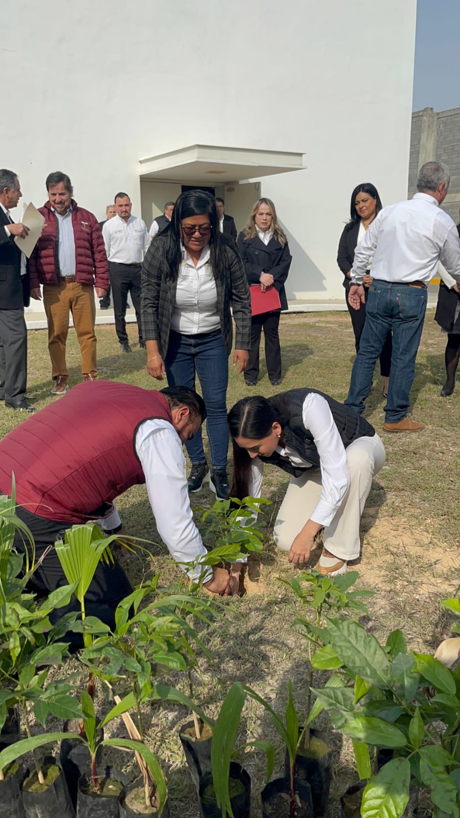 3 SALUD AMBIENTAL