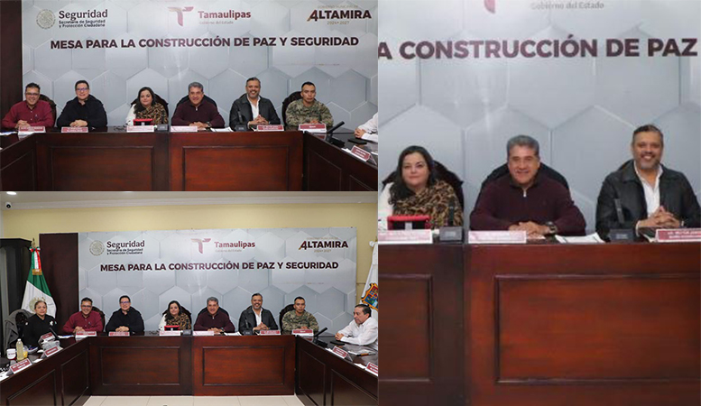 COLLAGE ALTAMIRA