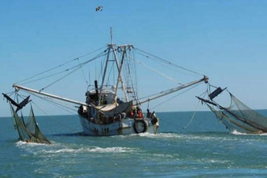 Pesca