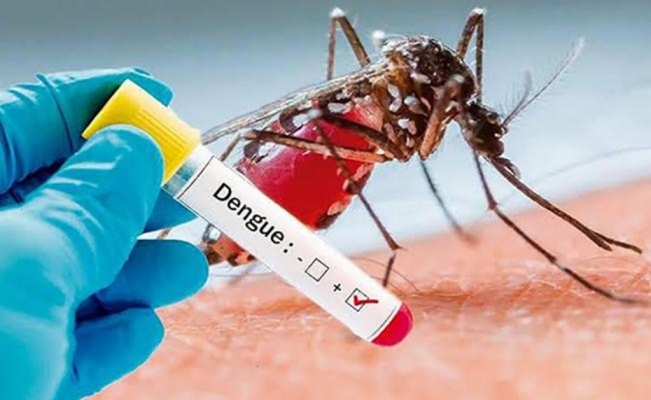 1 DENGUE