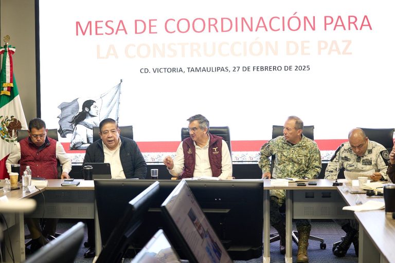 1 MESA