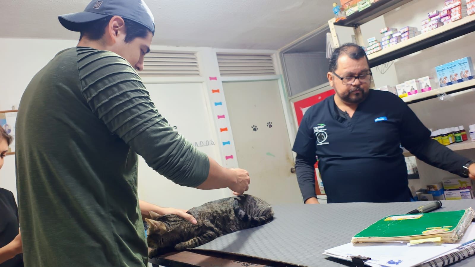 1 VETERINARIOS