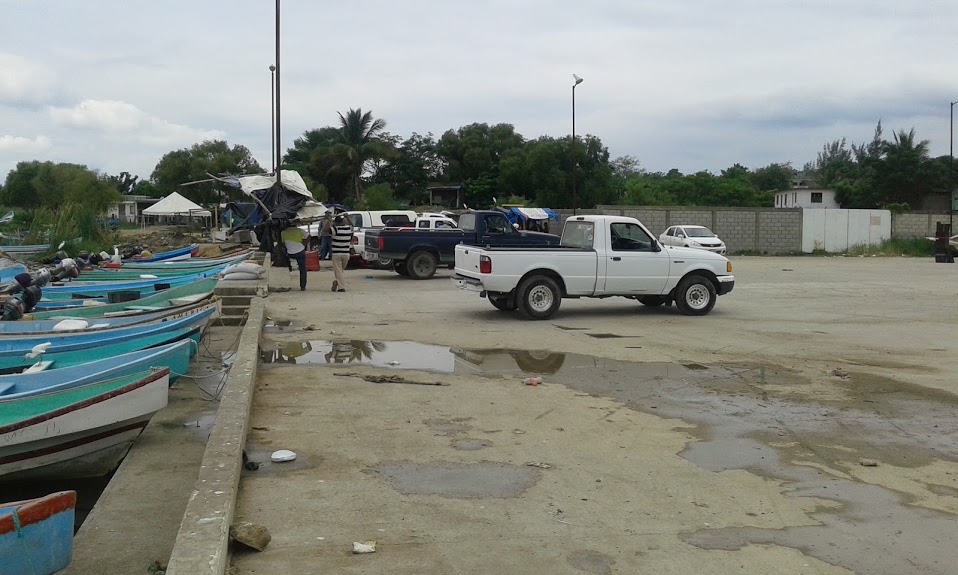 4 MUELLE