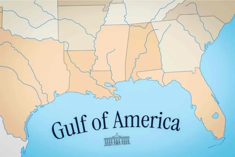 ImageTransformer-18-1