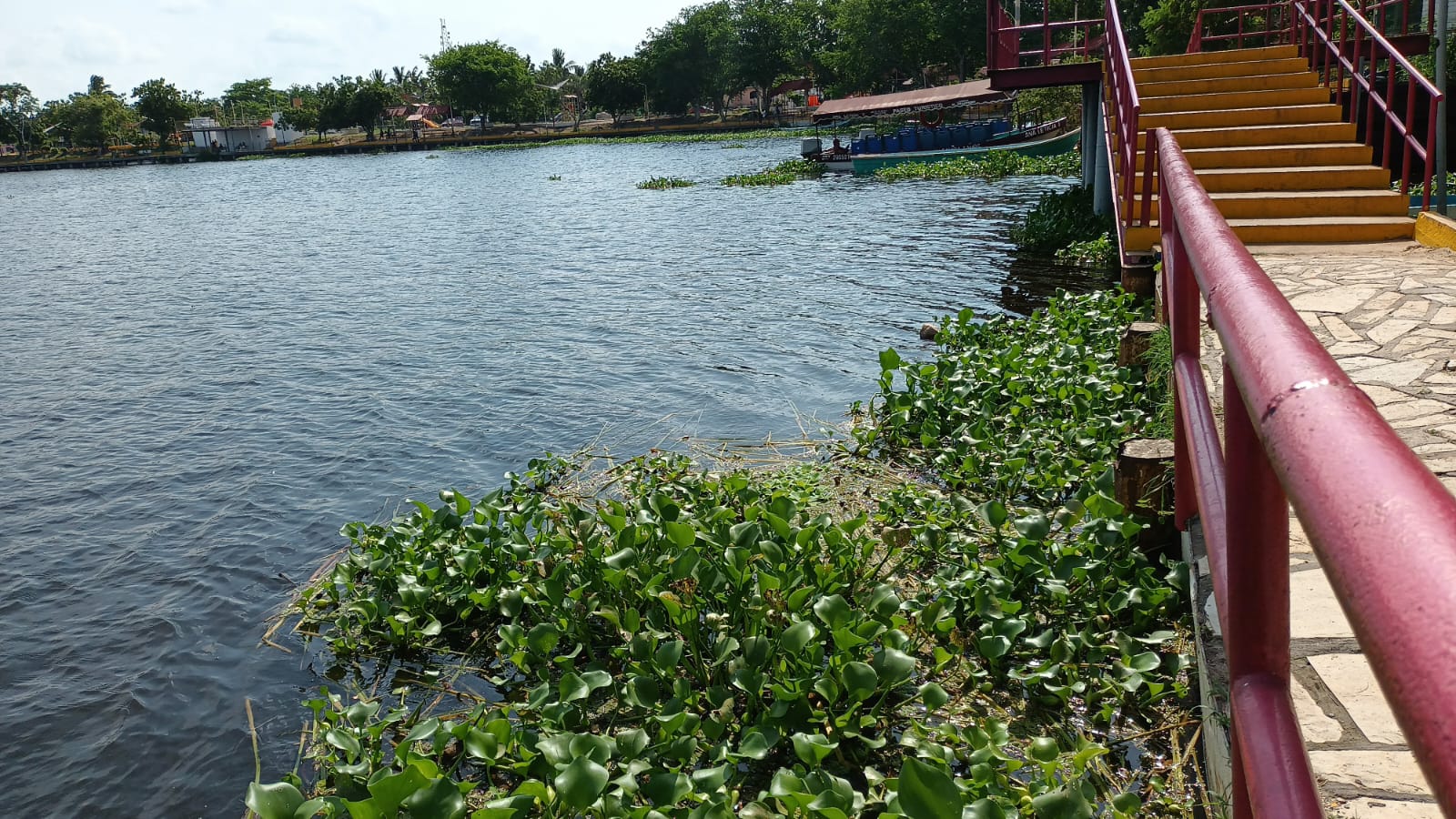 1 AGUA