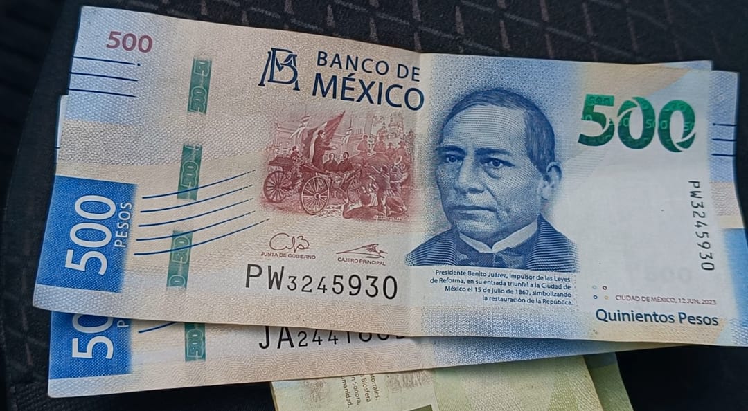 1 FALSOS