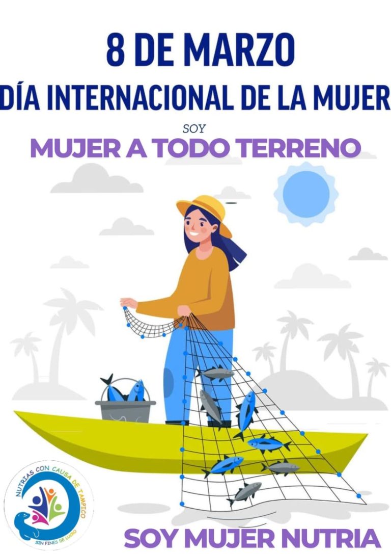 2 TODO TERRENO