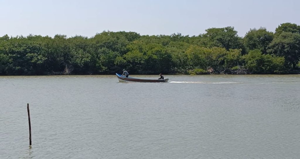 84405325-1044-43c7-bcab-10c7fe815de0