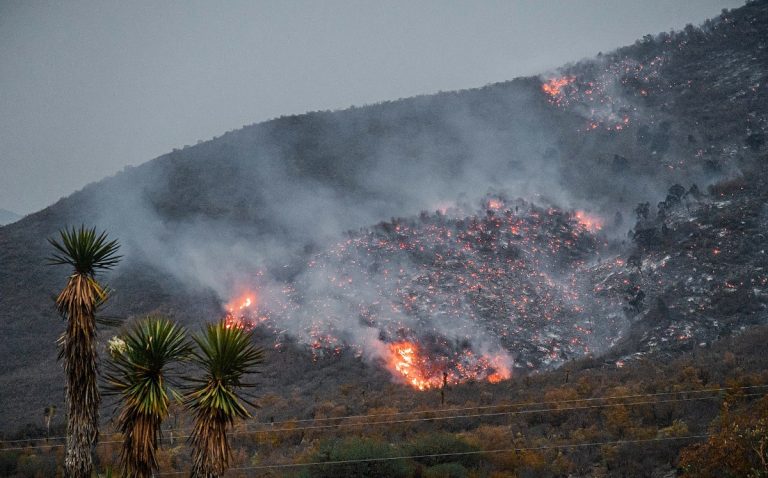 Fuego Tam
