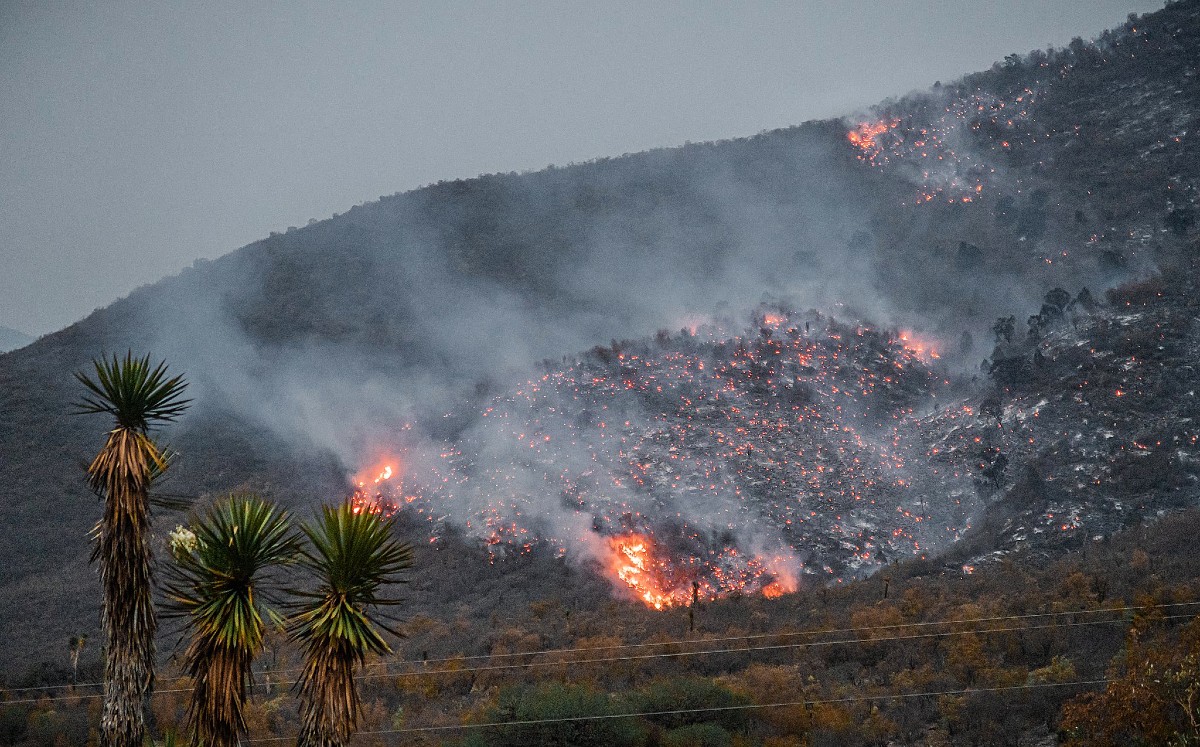 Fuego Tam