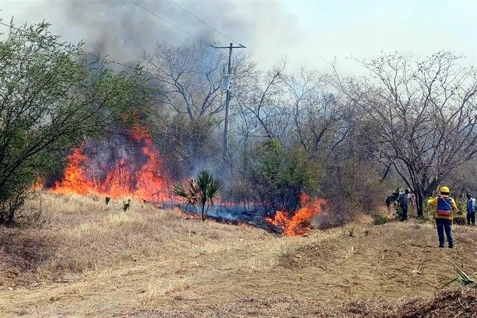 Incendio forestal