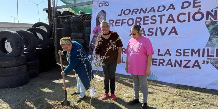 Reforestacion-Nuevo-Laredo