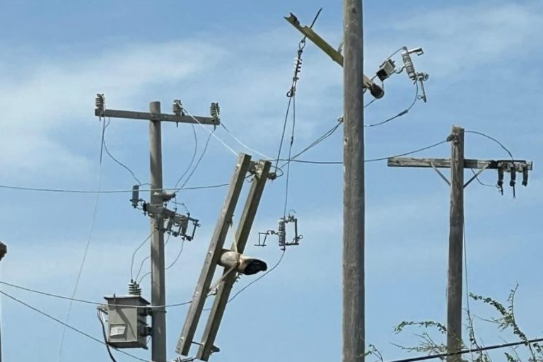 crop-w937-h781-1electricidad-6a67fd28