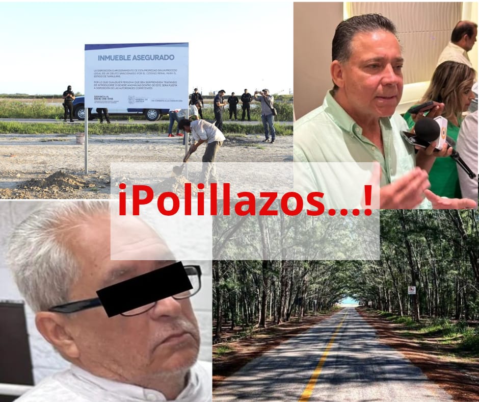 polilla