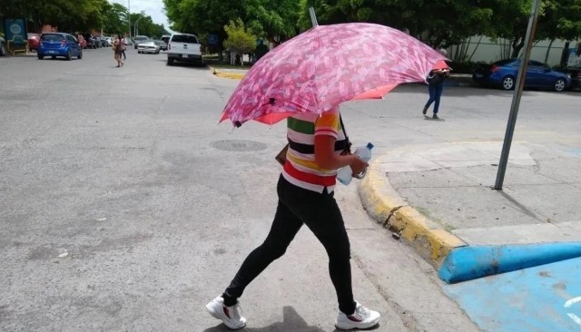 1 CALOR