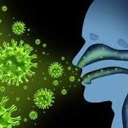 1 INFLUENZA
