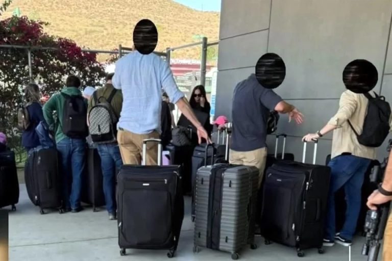Chapitos