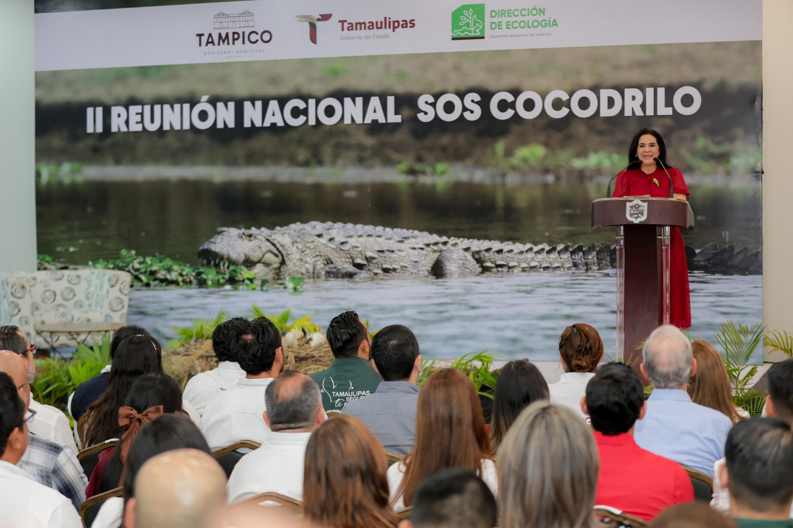 1 COCODRILOS