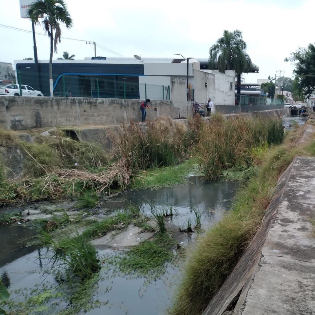1 DENGUE