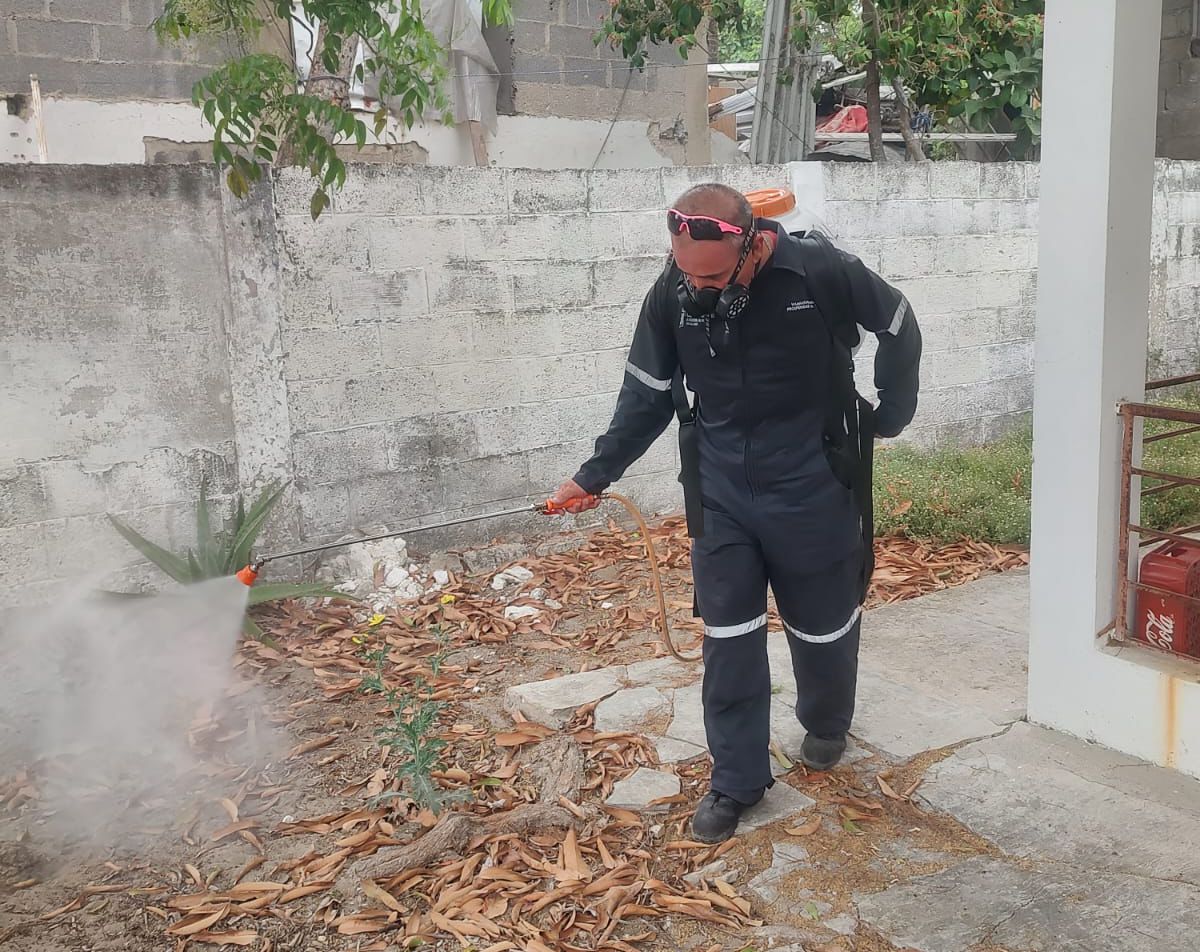 1 DENGUE