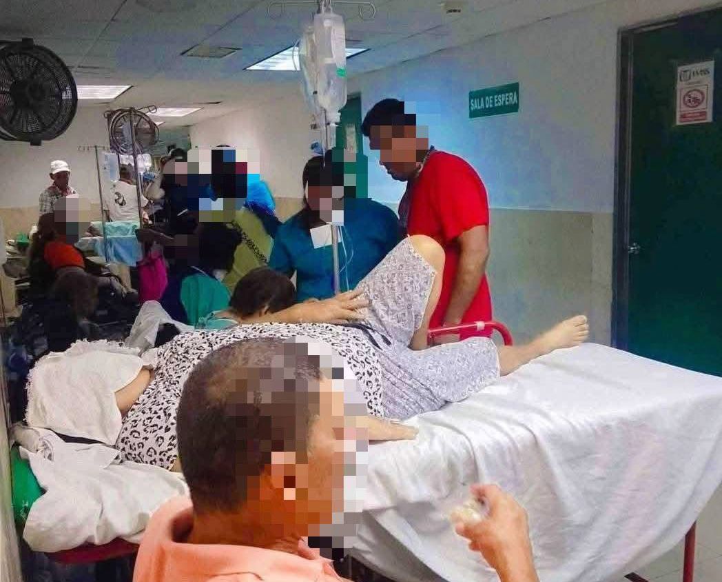 1 IMSS