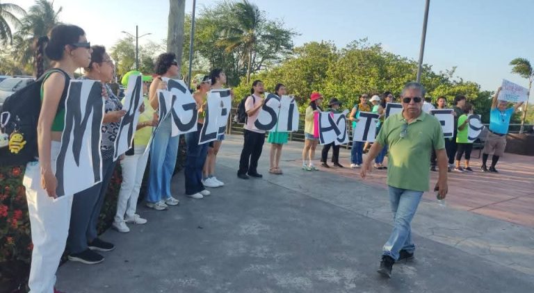 1 MANIFESTACION