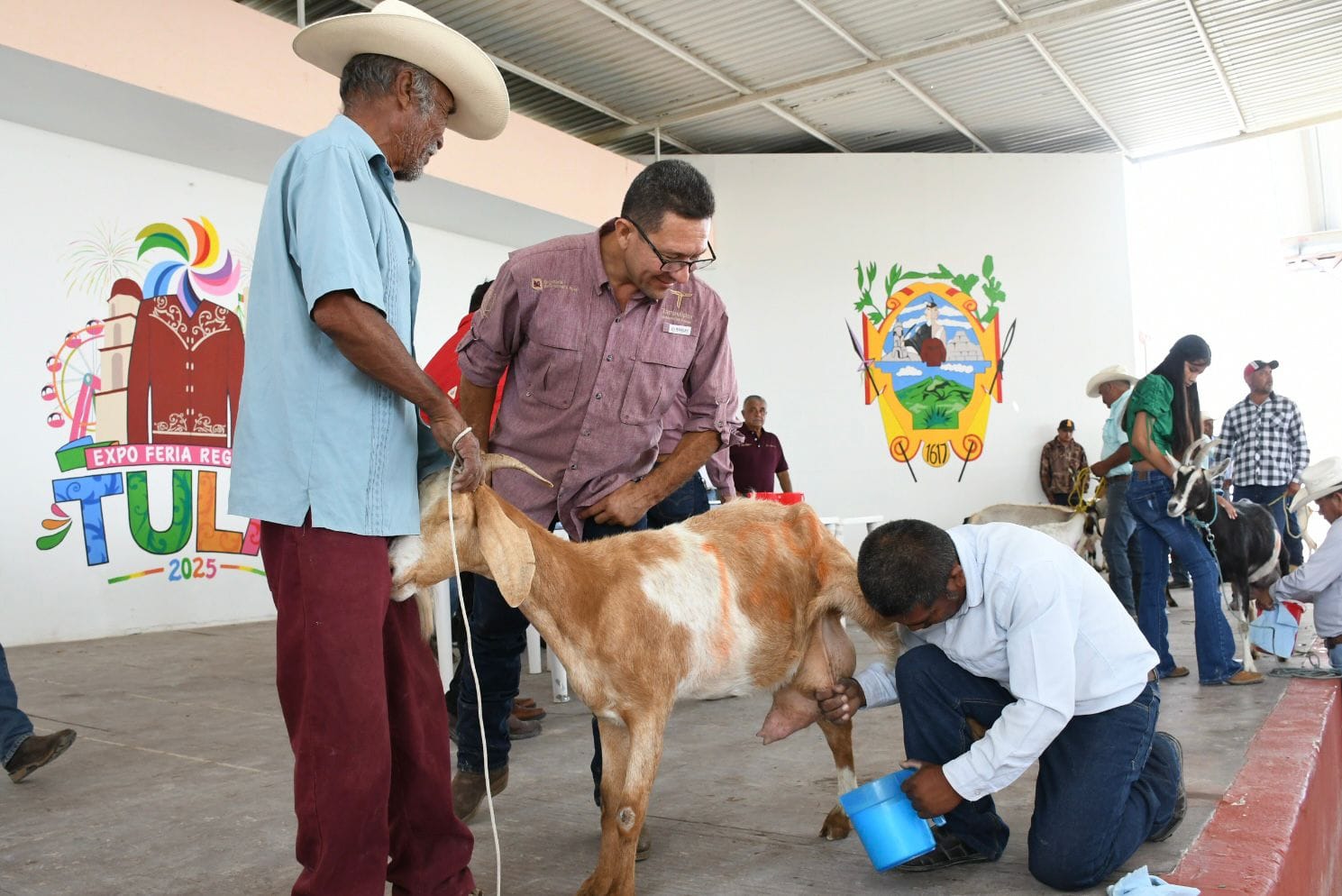 2 CABRAS