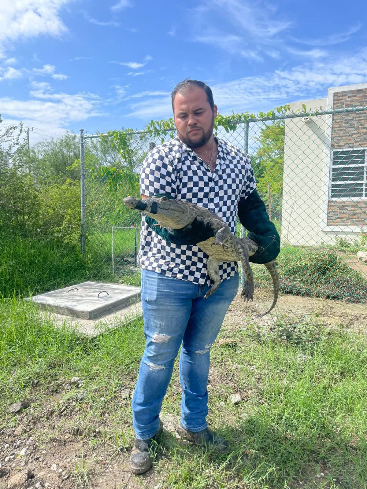 3 COCODRILO