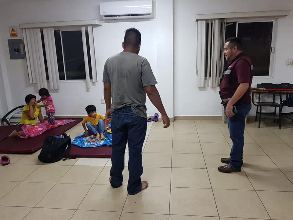 3 FUMIGACIONES