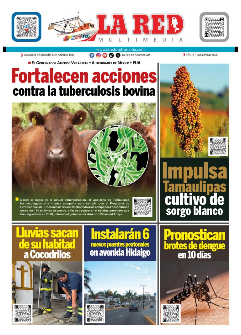 CONTRAPORTADA