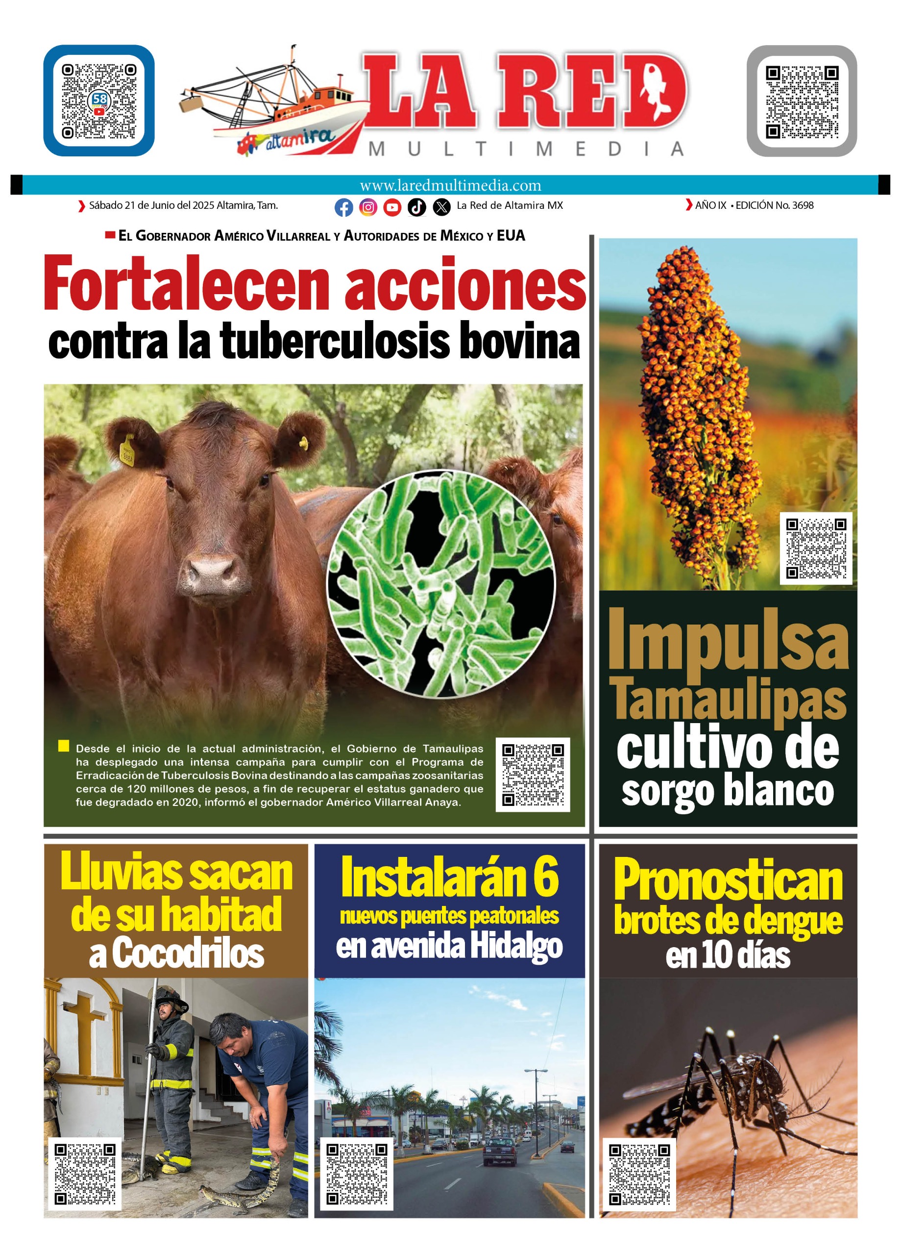 CONTRAPORTADA